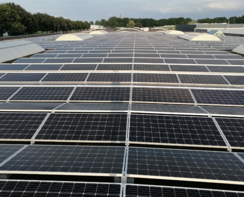 WhatsApp Image 2021-09-12 at 20.35.14 (1)