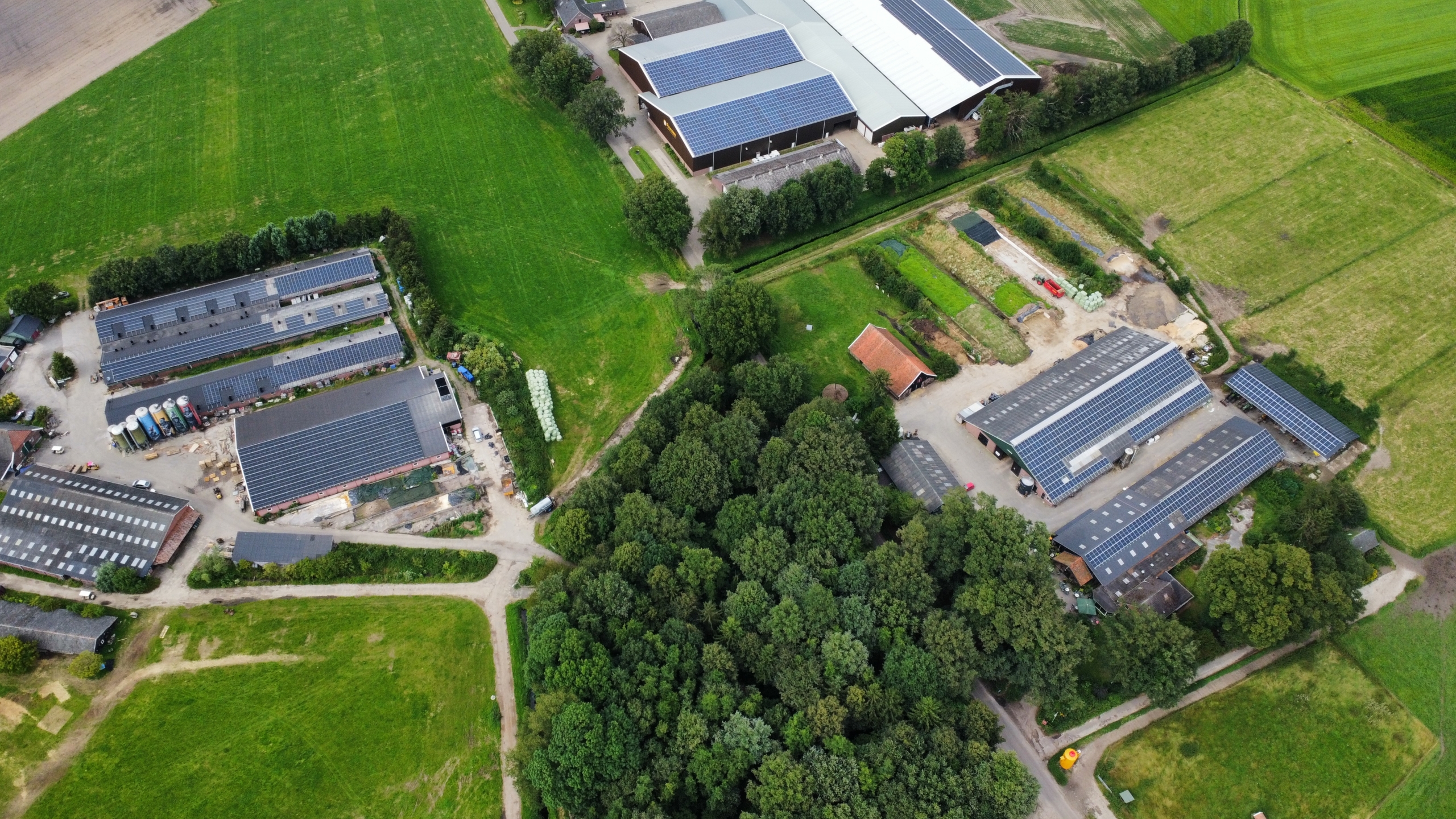 Zonnepanelen op golfplaten dak bij Ruesink Melkvee & Varkensbedrijf - Terazon